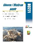 R0271 Glossy everyday paper 210x297 1 pola